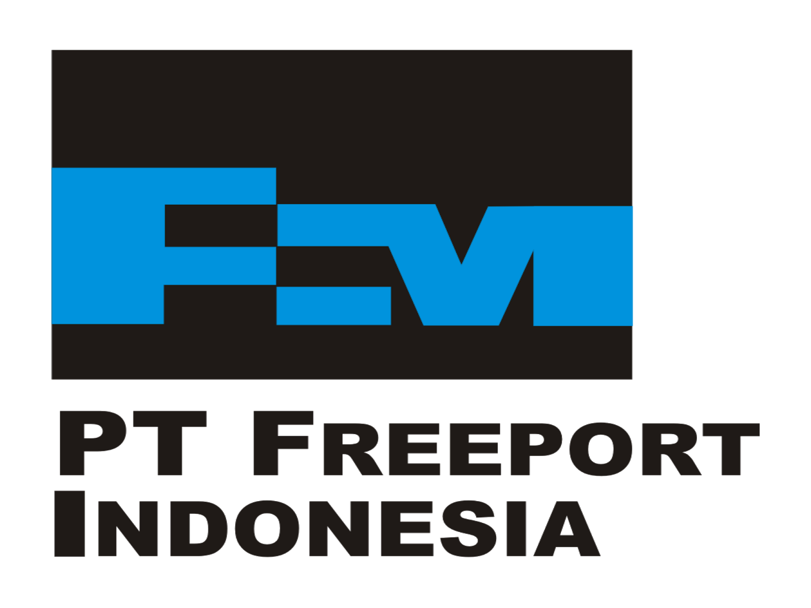 pt freeport indonesia