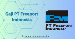 pt freeport indonesia