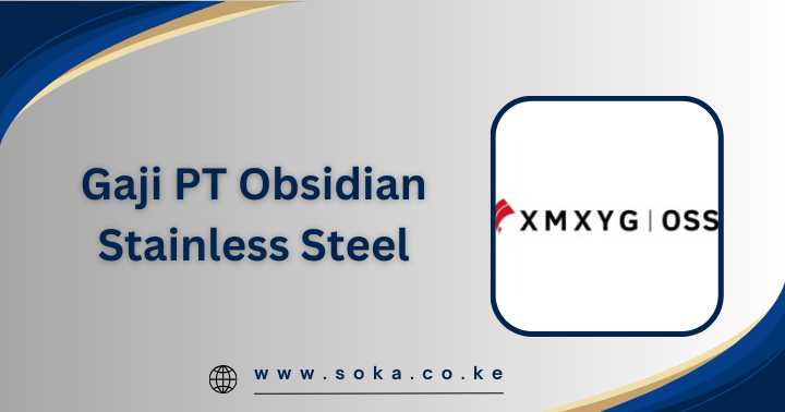 PT Obsidian Stainless Steel