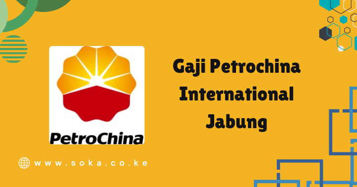 pt petrochina international jabung