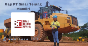 pt sinar terang mandiri